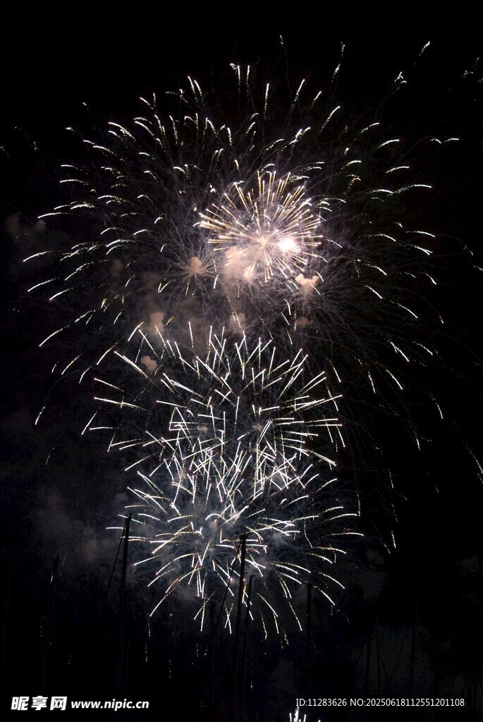 夜空中絢爛的煙花綻放