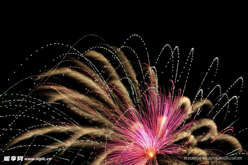 絢麗煙花綻放夜空