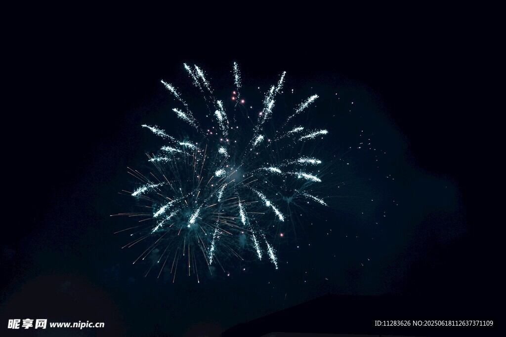 夜空中綻放的絢爛煙花