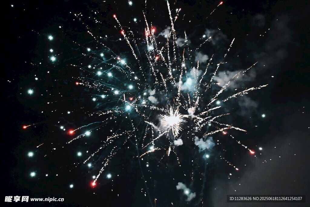 夜空中絢爛綻放的煙花