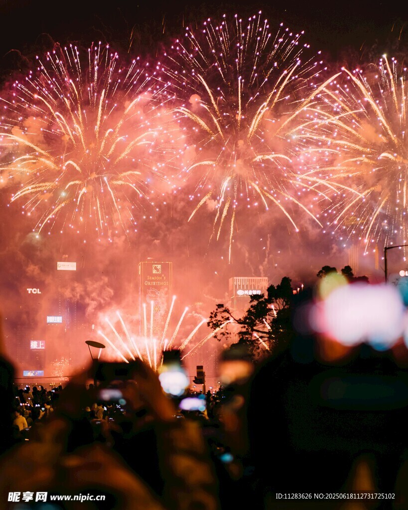 夜空中絢爛的煙花盛宴