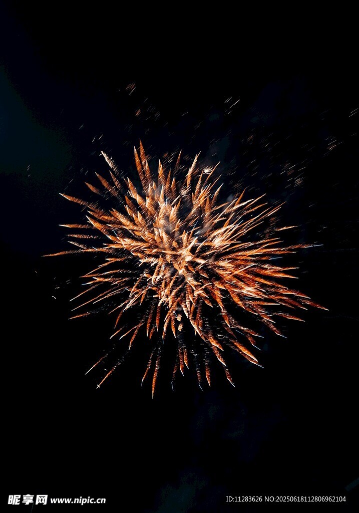 夜空中絢爛綻放的煙花