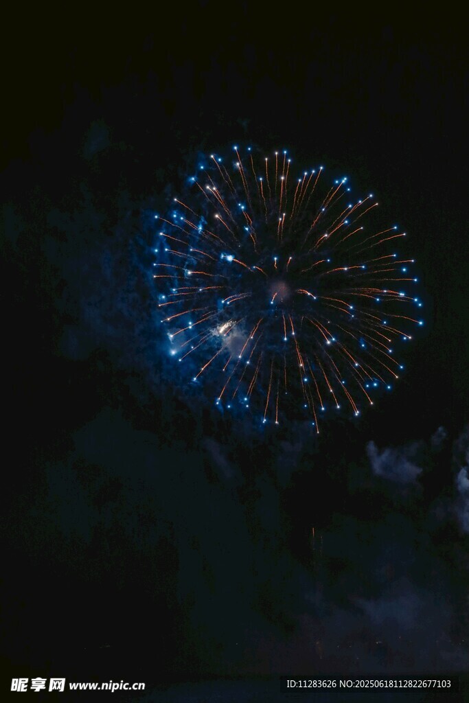 夜空中綻放的絢麗煙花