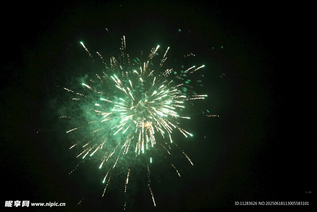 夜空中綻放的綠色煙花