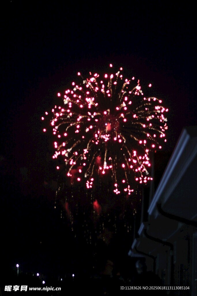 夜空中絢爛綻放的煙花