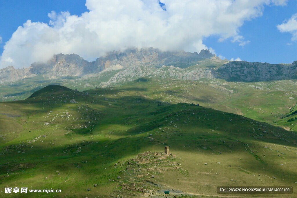 高山草原美景