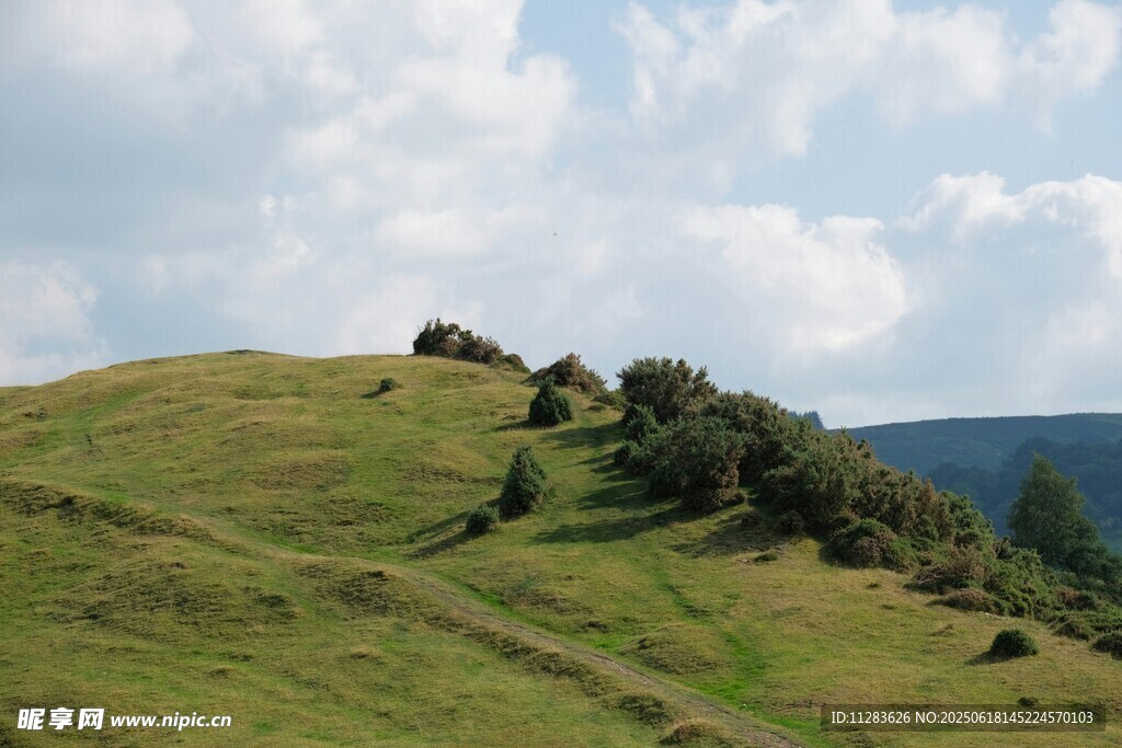 綠意盎然的山坡美景