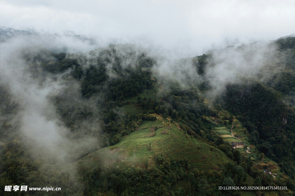 云霧繚繞的山間美景