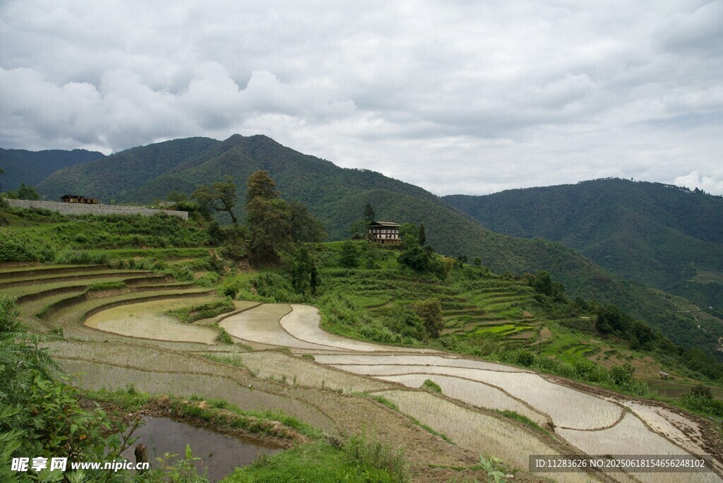 山間梯田美景