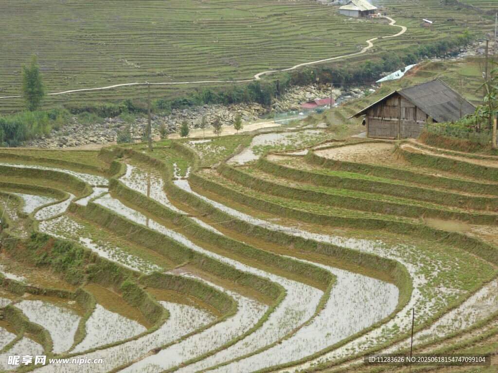 美麗梯田風(fēng)光