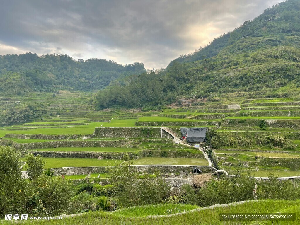 山間梯田美景