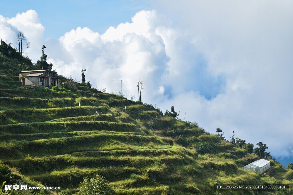 山間梯田美景