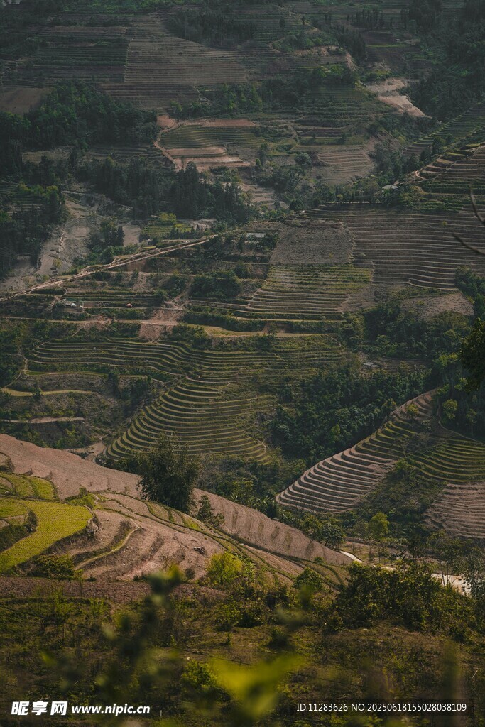 山間梯田美景
