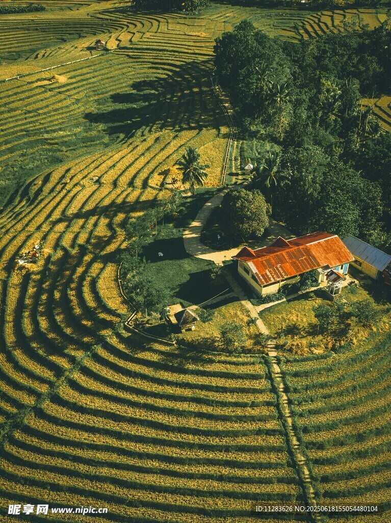梯田中的紅頂小屋