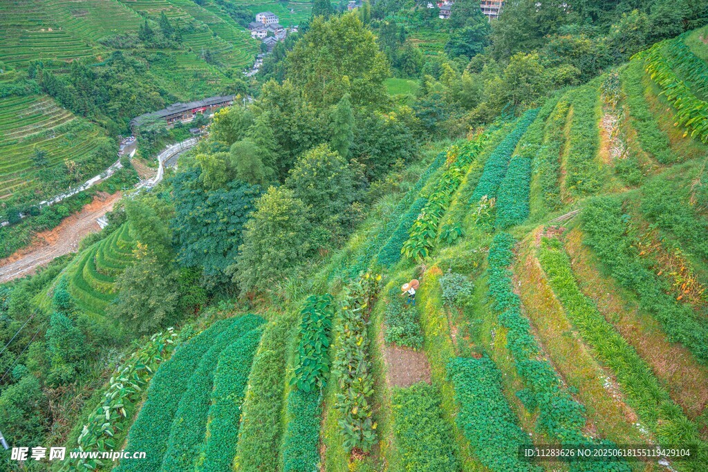 山間多彩梯田美景