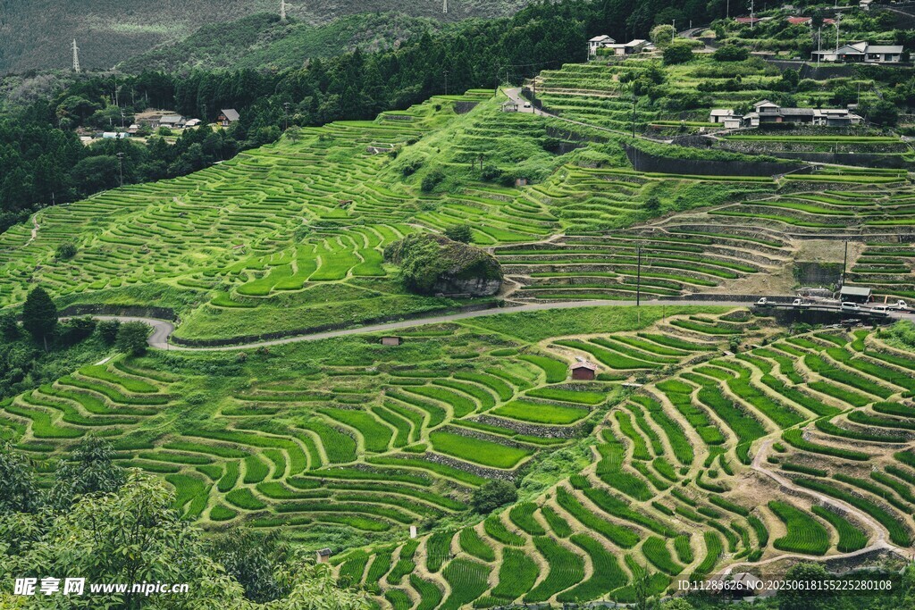 翠綠梯田與山間村落美景