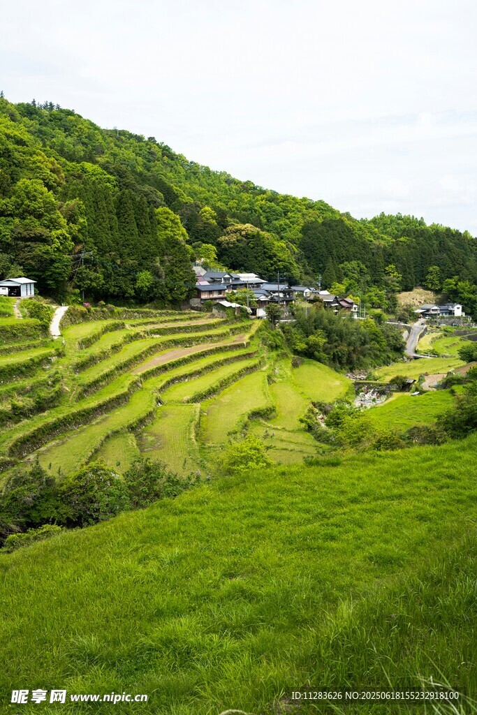 翠綠梯田中的寧?kù)o村落