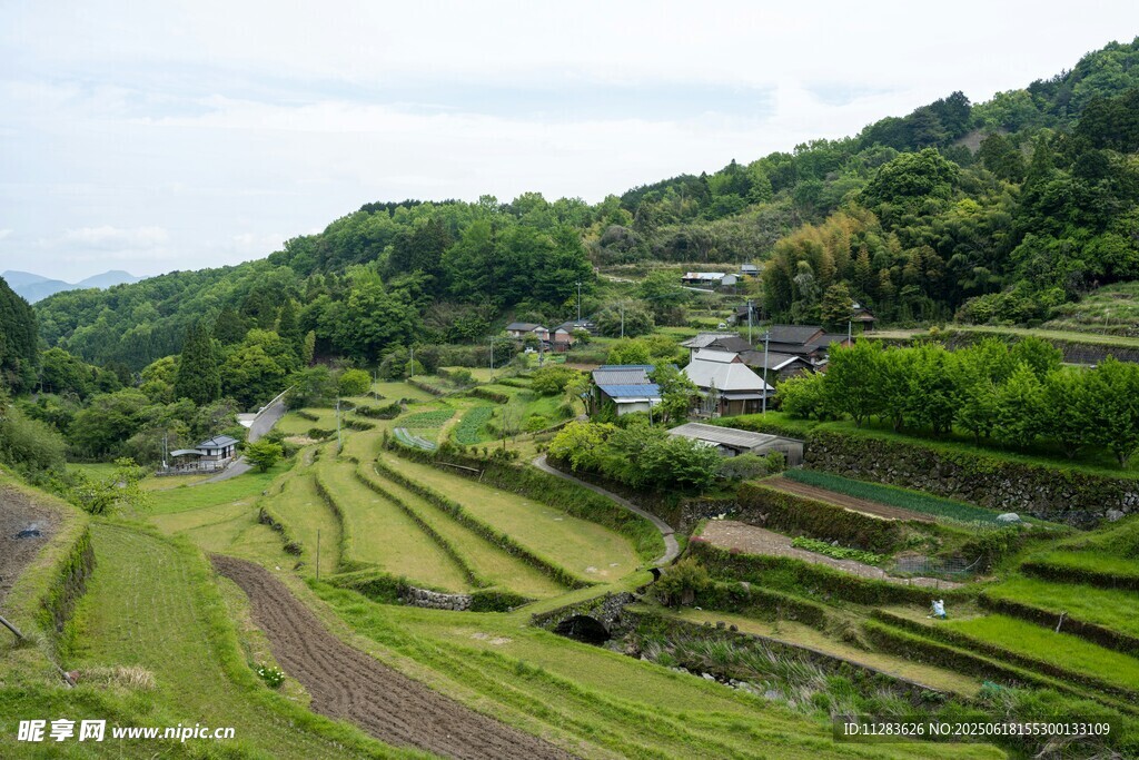 山間梯田美景