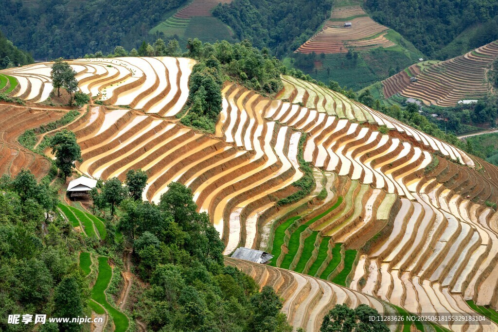 壯觀梯田美景