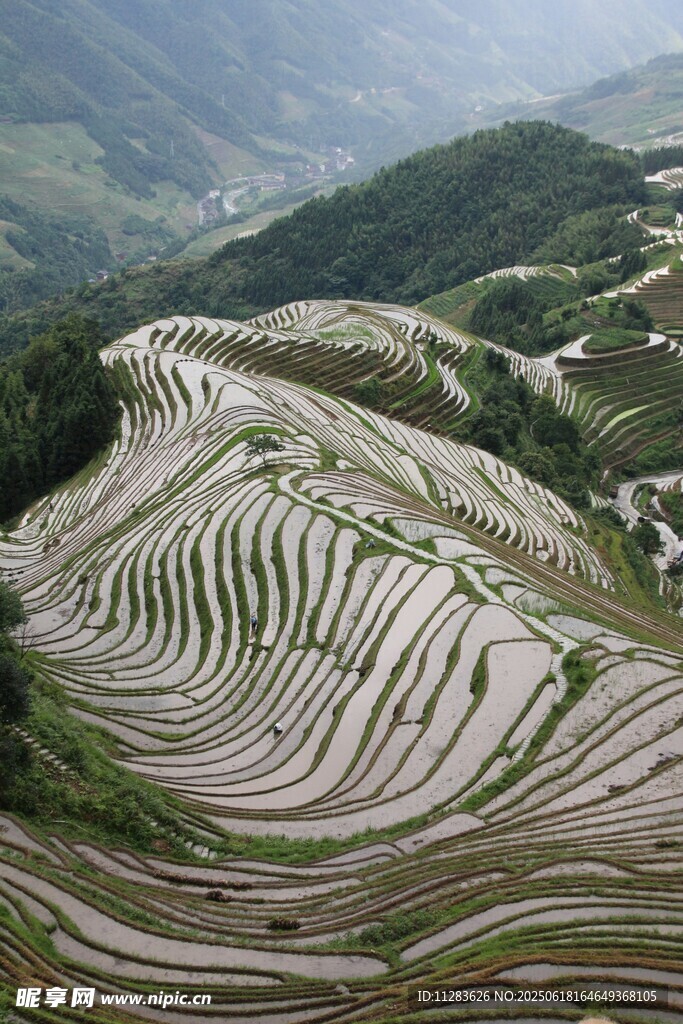壯觀梯田美景
