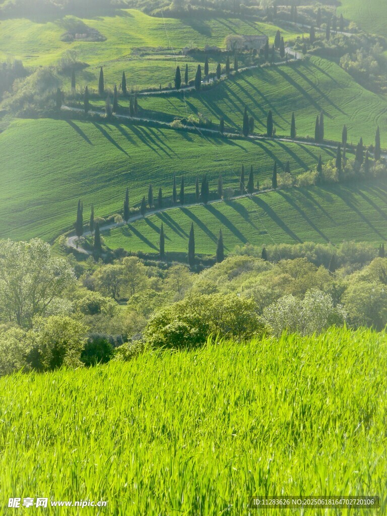 田園綠野風(fēng)光美景