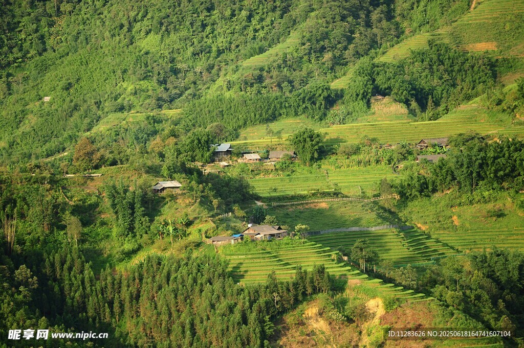 俯瞰翠綠山間田園美景