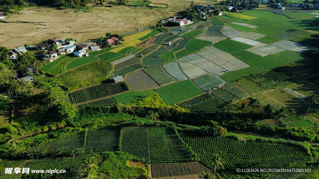 俯瞰田園風光美景