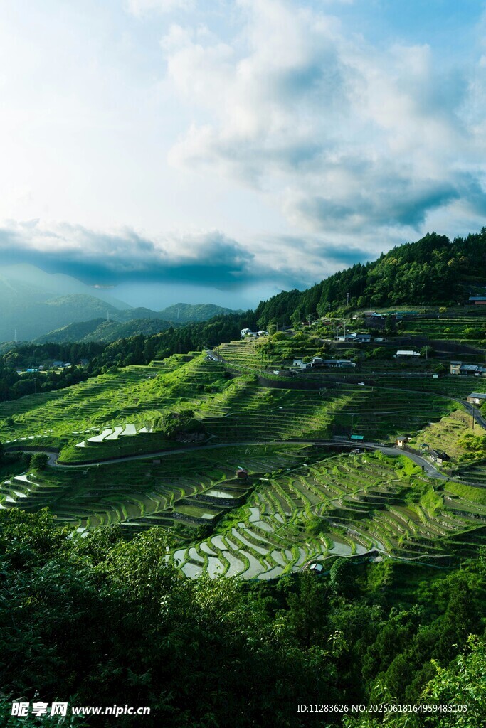 山間綠野風光