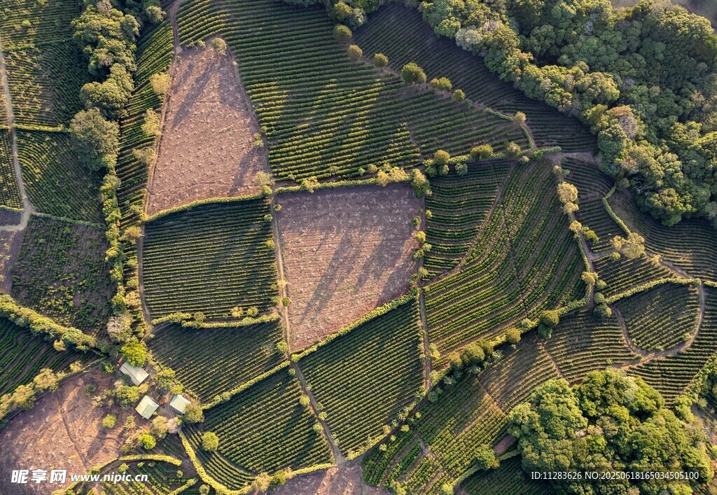 俯瞰田園風光美景