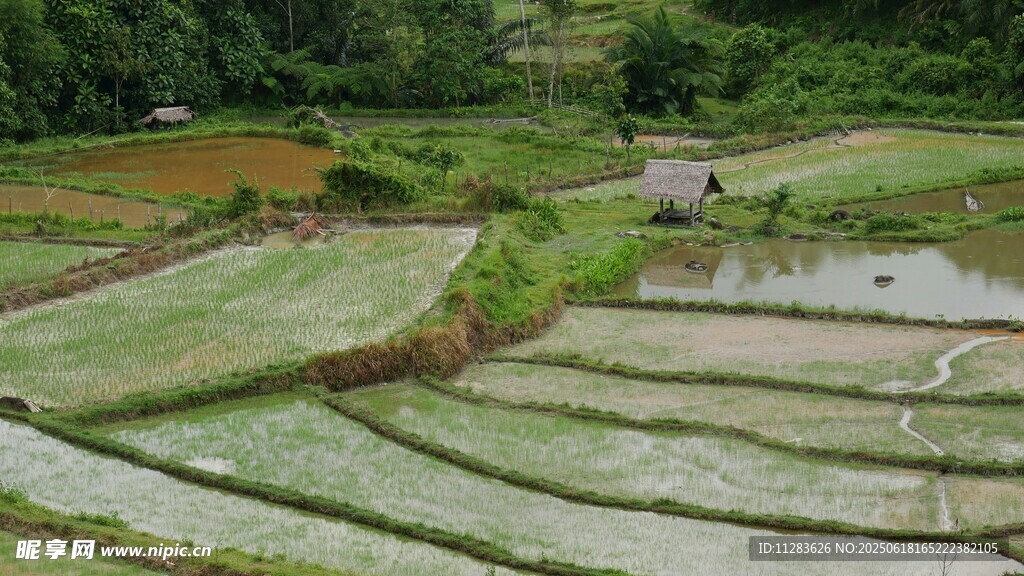 層層疊疊的美麗山間梯田