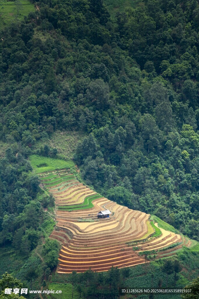 山間梯田美景