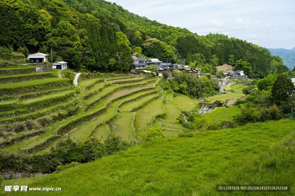 翠綠梯田中的寧靜村落