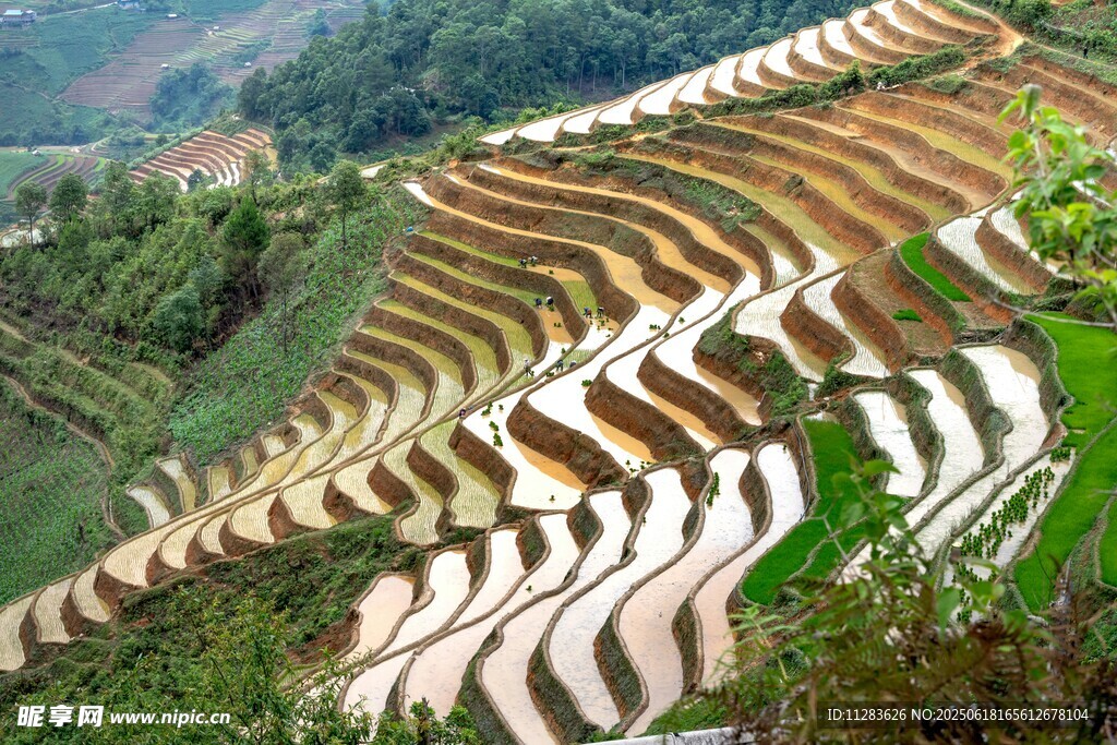 壯觀梯田美景