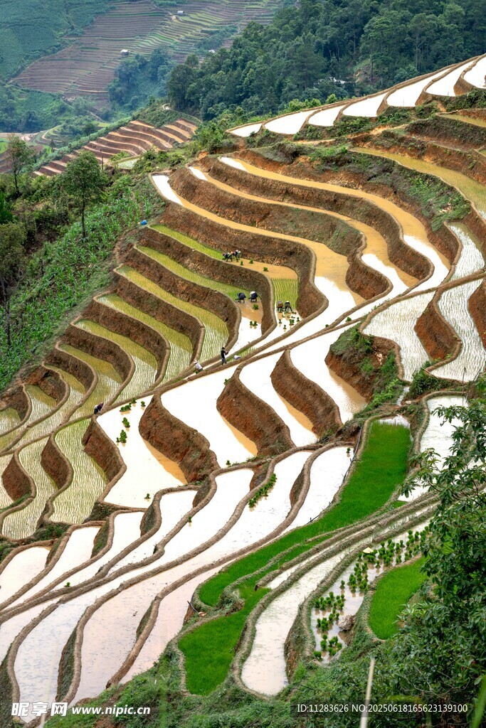 壯觀梯田美景