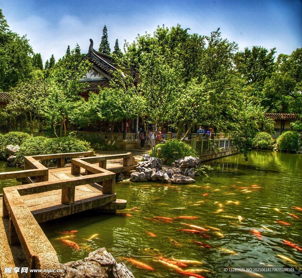 中式園林池塘錦鯉景觀