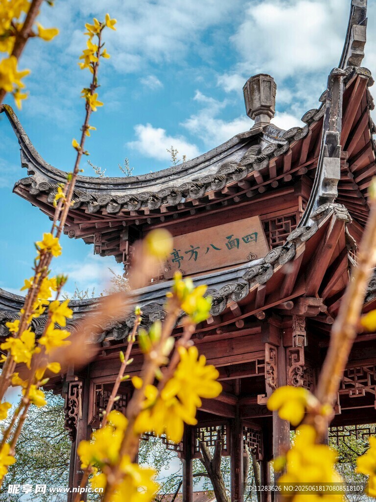 古建繁花相映成趣