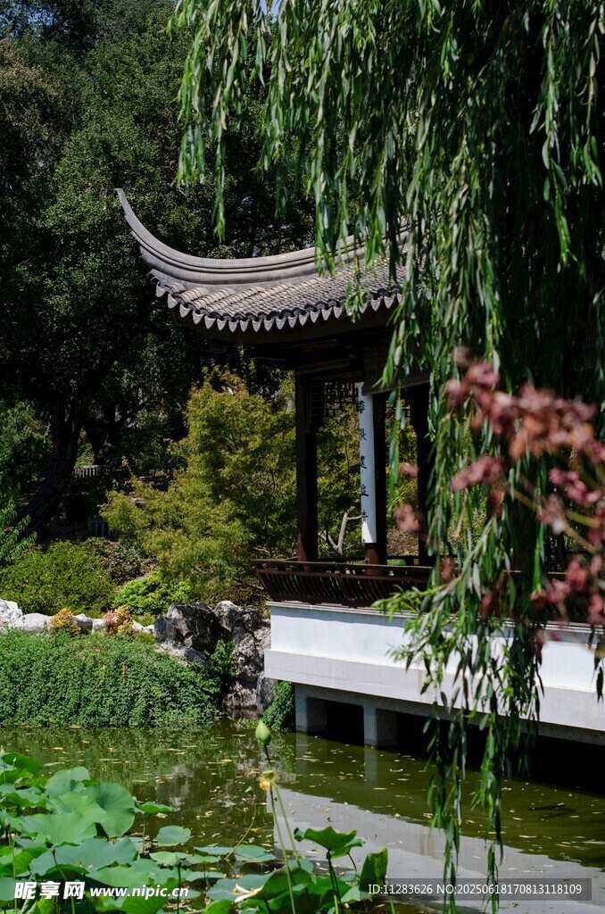中式園林涼亭池塘美景