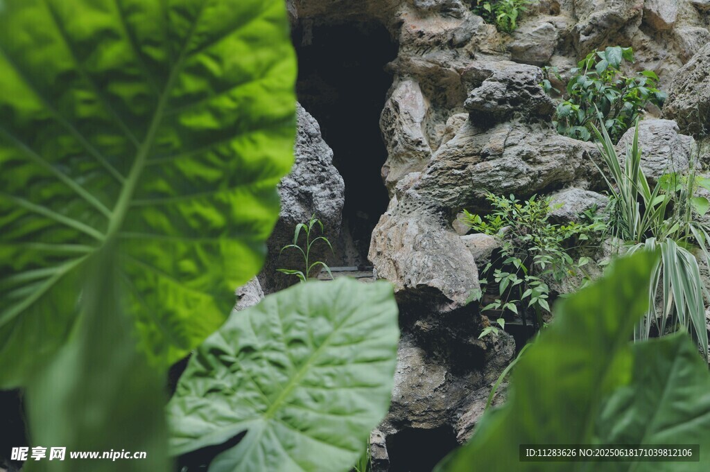 綠葉環(huán)繞的巖石景觀(guān)