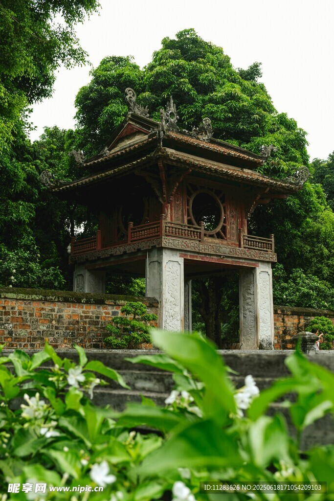 中式古亭隱于蔥郁綠植間