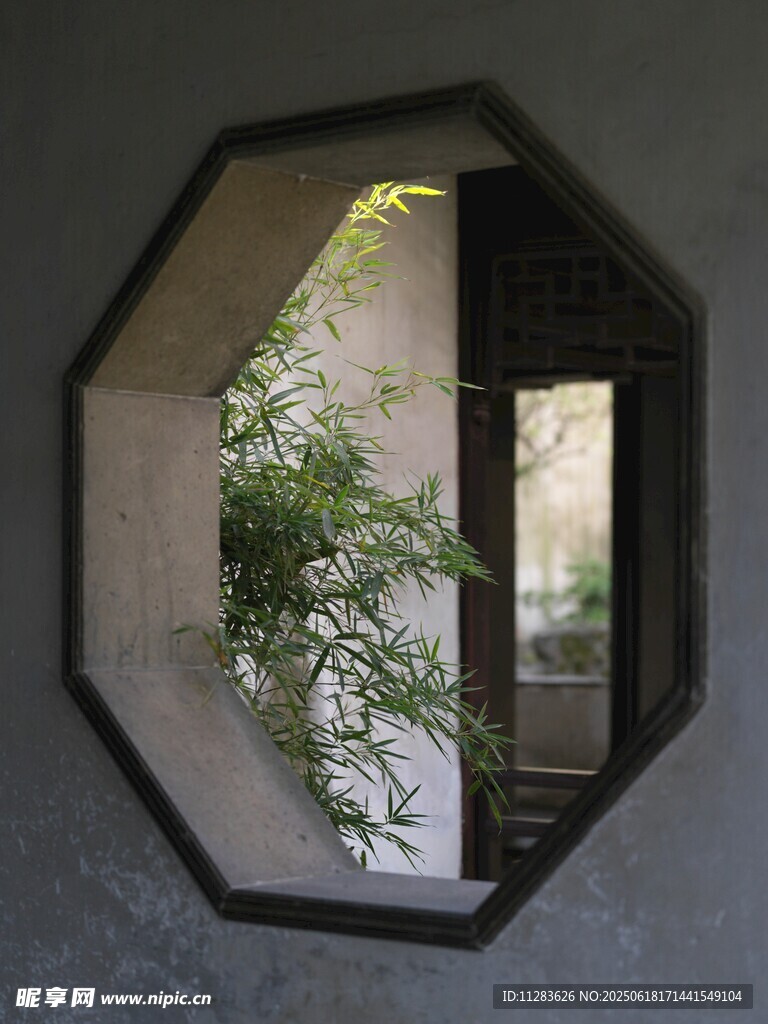 中式八角窗中的綠意景致
