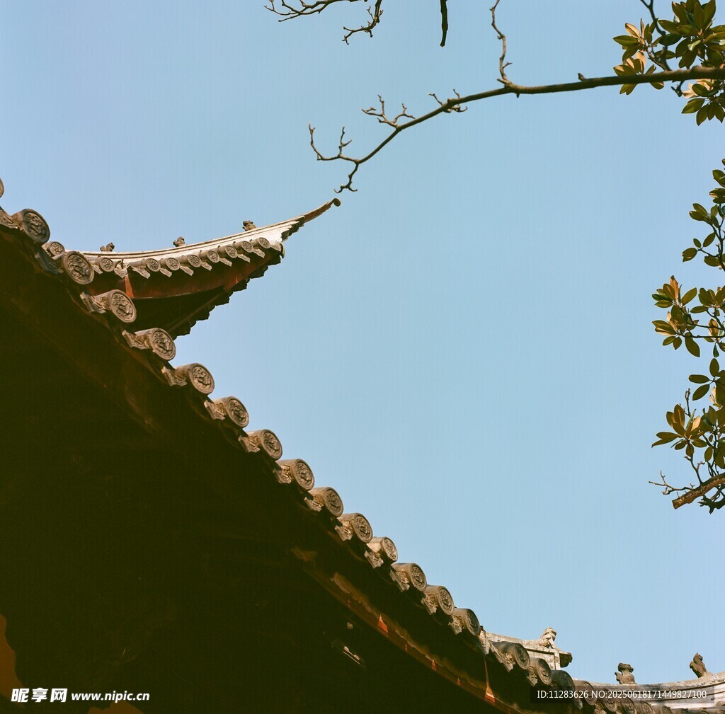 中式屋檐與枝頭藍天景致