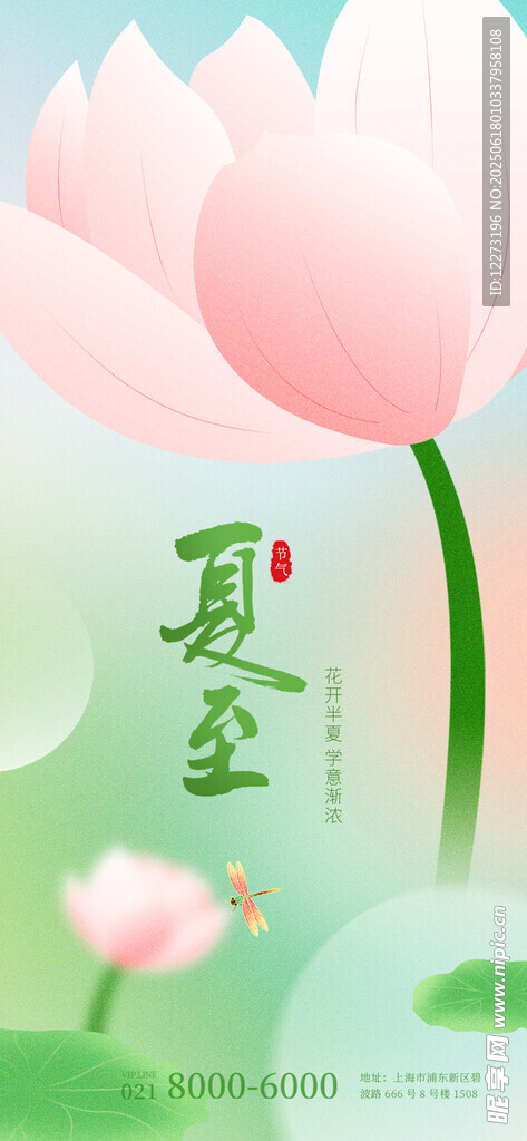 夏至荷花圖