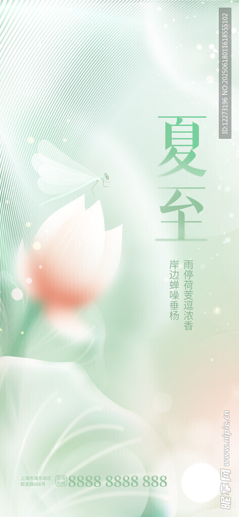 夏至荷花圖