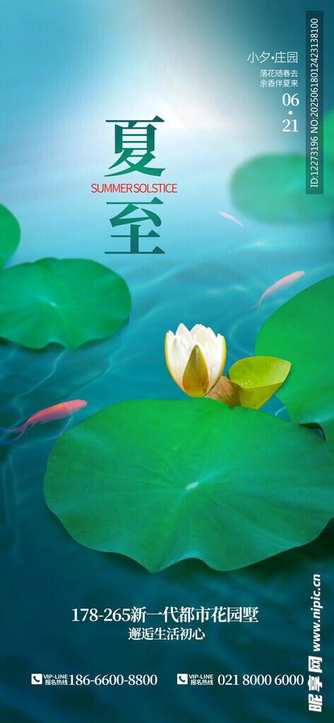 夏至?xí)r節(jié)荷塘雙鴨圖