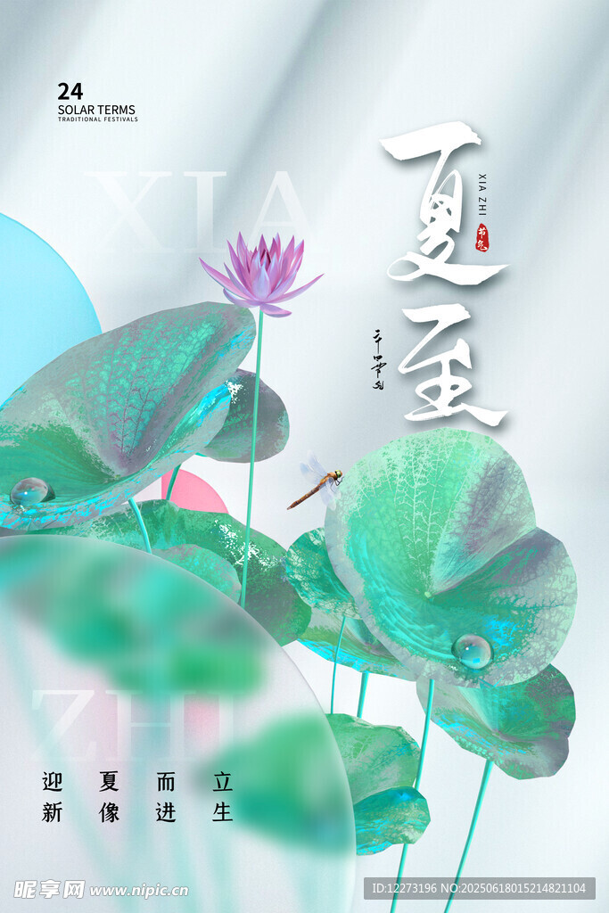夏至荷花插畫海報