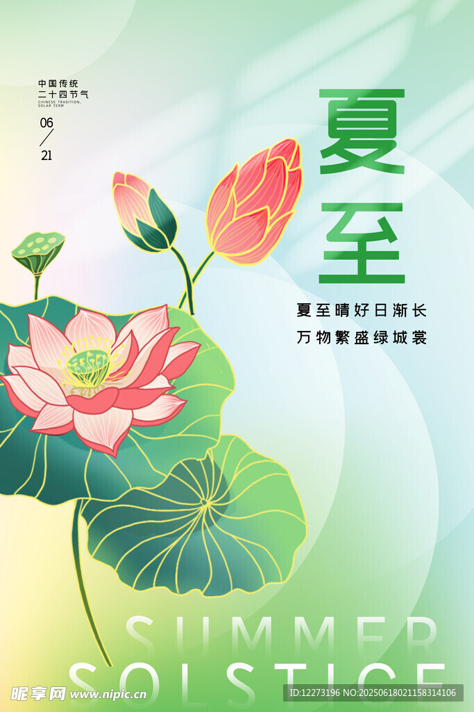 夏至時節荷花綻放