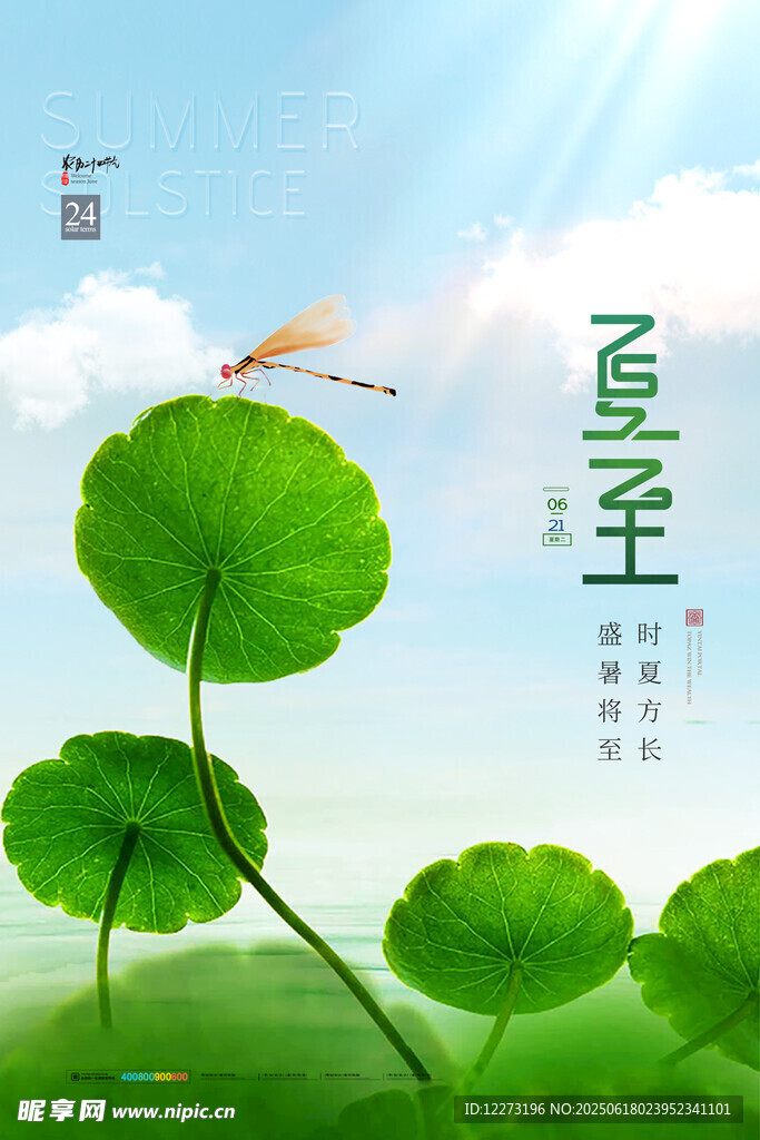 夏至?xí)r節(jié)荷葉蜻蜓圖