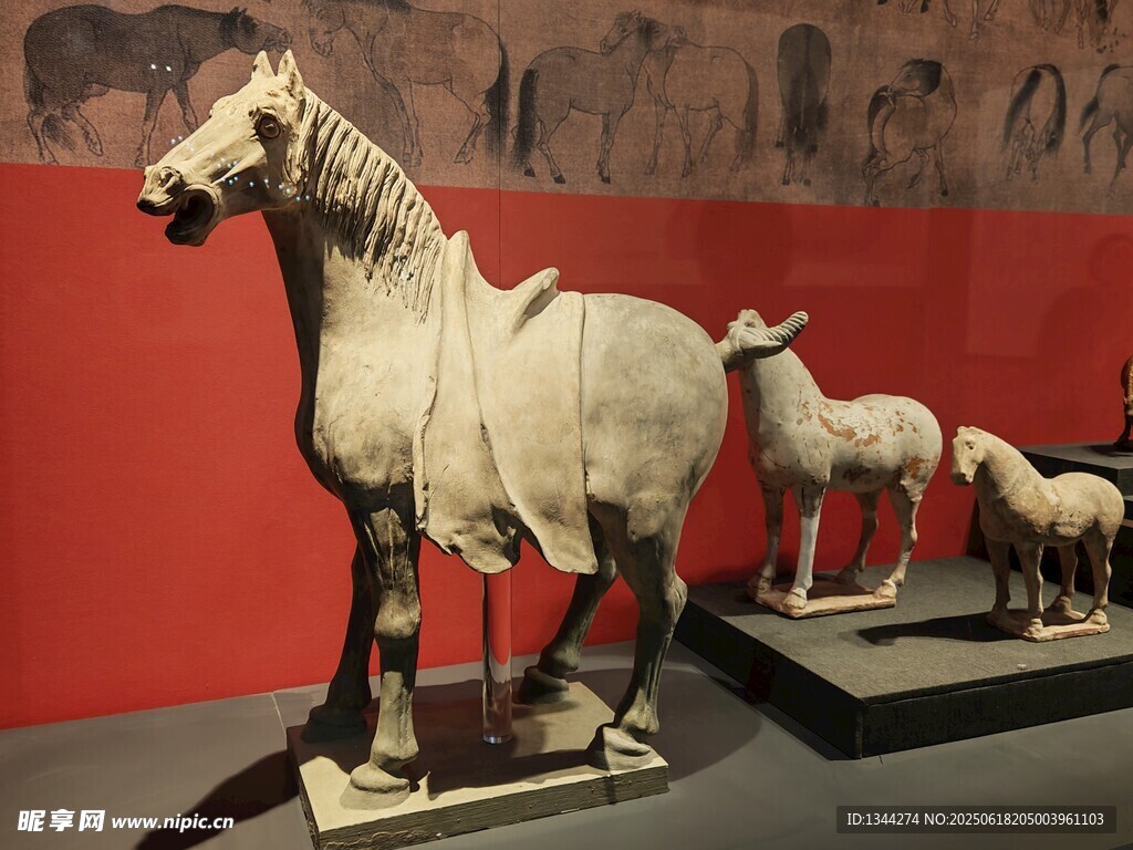 古代陶馬雕塑展示