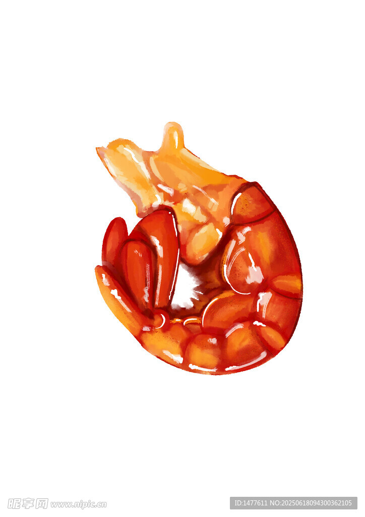 龍蝦 蝦尾
