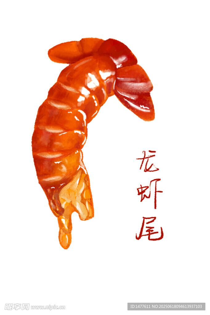 龍蝦 蝦尾